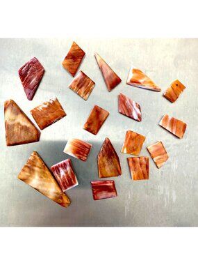 Spiny Oyster Cabochons 19 Pieces 26 Grams/130 Carats